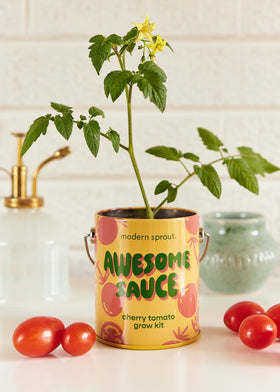 Complimentary Colors Grow Kits